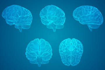 层次高的人层次低的人其本质上有什么不同？