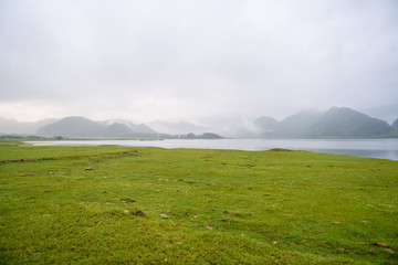 科学知识手抄报简单模板大全5张