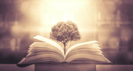 上海植物园几点关门时间