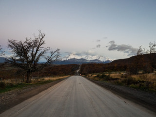 紫苏磨成粉加蜂蜜外涂有什么功效