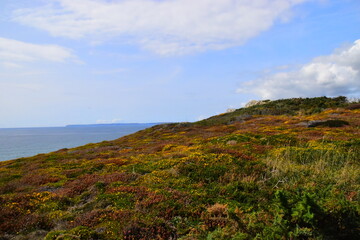 公司高层管理人员岗位职责
