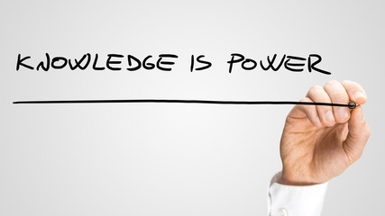 世界上什么树最长寿