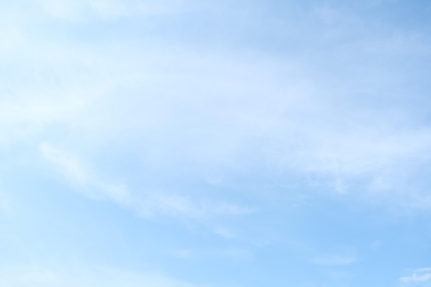 生物科学师范类学什么