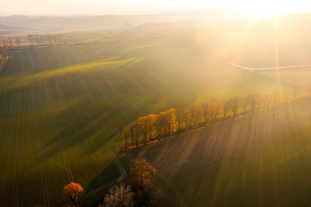 昆虫记32种昆虫的特点