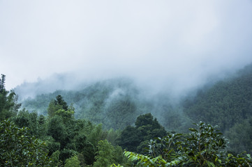 上海植物园几点关门时间
